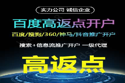 谷歌SEM广告策略：某电商平台的成功逆袭案例